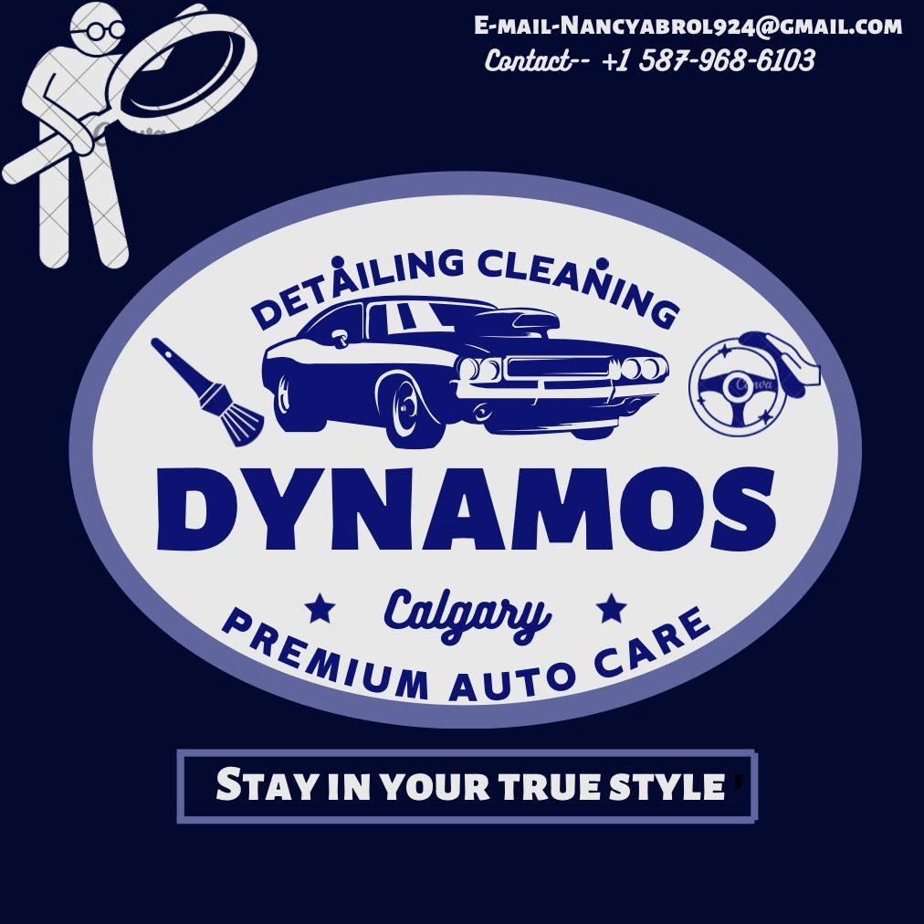 Detailing Dynamos